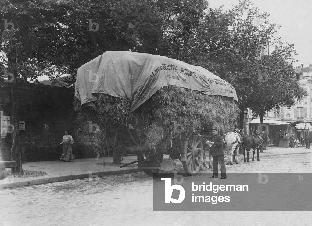 Searching a straw wagon after contraband in Paris, 1911 (b/w photo)