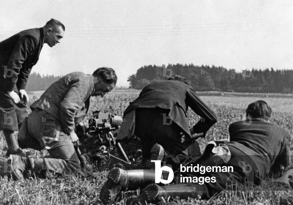 Sudeten German Freikorps, 1938