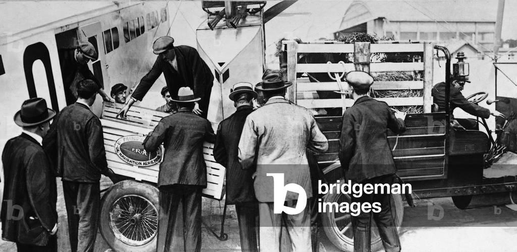 Carriage of a race horse by an airplane, 1924 (b/w photo)