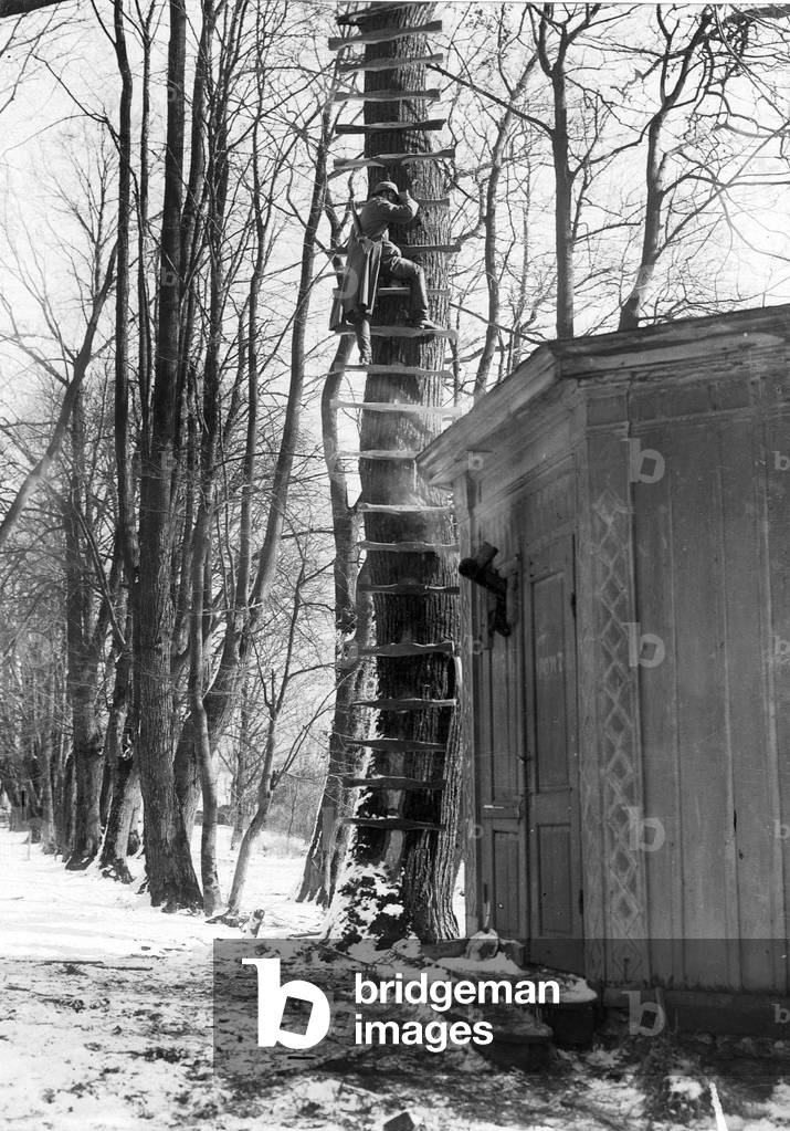 German artillery observer on the eastern front, 1915 (b/w photo)
