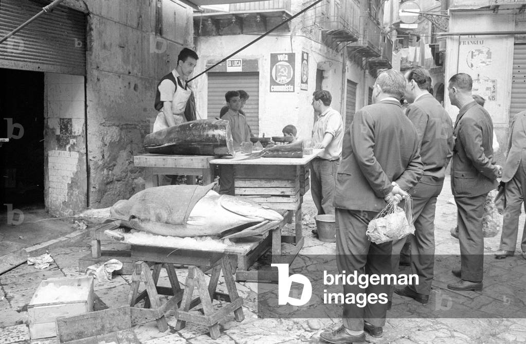 Market stall with fish in an alley in Palermo, 1963 (b/w photo)