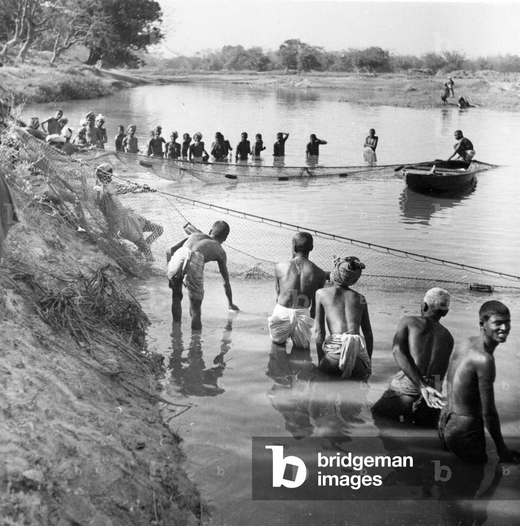 Fishing near Purnea, 1936 (b/w photo)