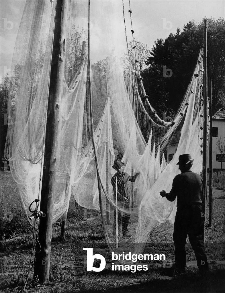 Fisherman while unclamping the net, 1938 (b/w photo)