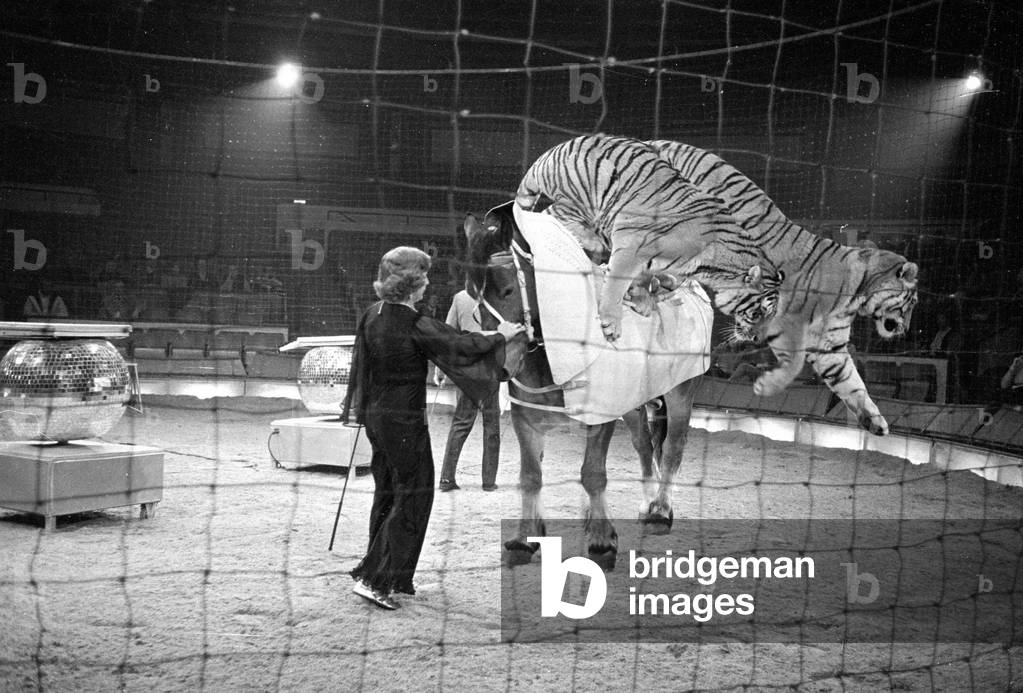 Program at the Circus Krone in Munich, 1978 (b/w photo)
