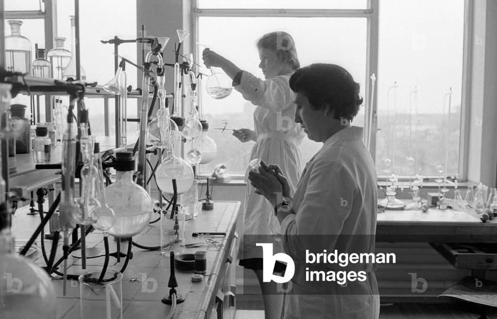 Breads compared in the physiology of nutrition at the Max Planck Institute in Dortmund, 1960 (b/w photo)