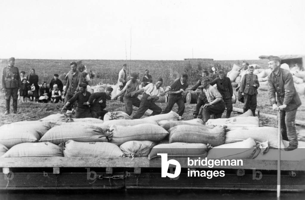 Oat supplies on the Eastern Front, 1942 (b/w photo)