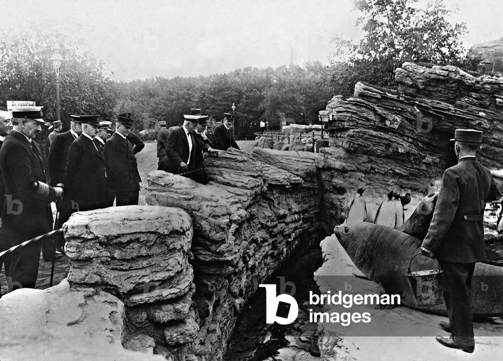 Wilhelm II in the Tierpark Hagenbeck in Hamburg, 1913 (b/w photo)