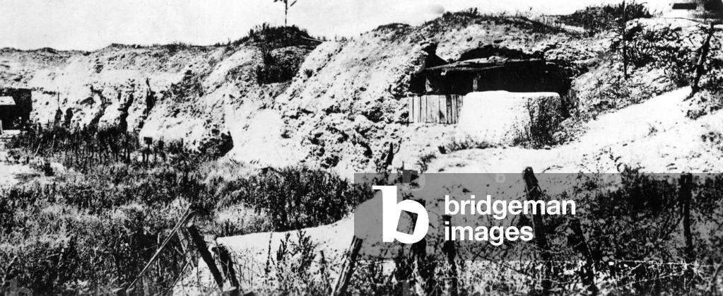 Battle of Verdun, 1916 (b/w photo)