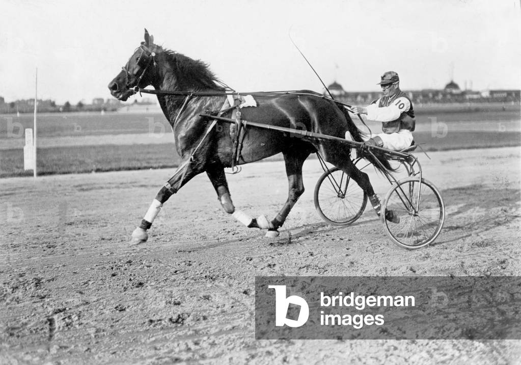 Equestrian sport (b/w photo)