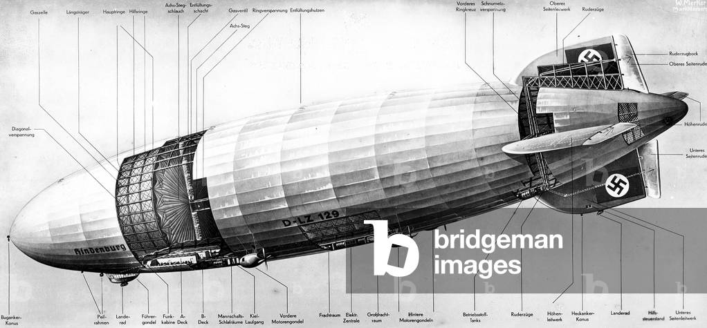 Cross-section of the LZ 129 Hindenburg (b/w photo)