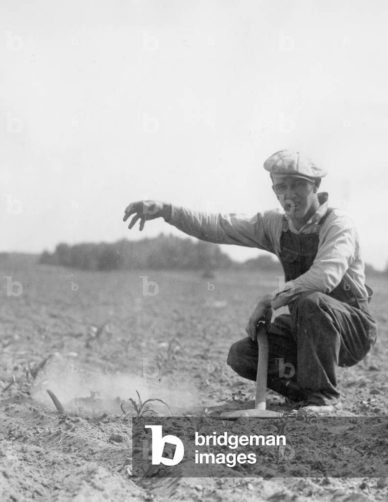 Farmer during the drought in his field in the corn belt of the United States, 1934 (b/w photo)