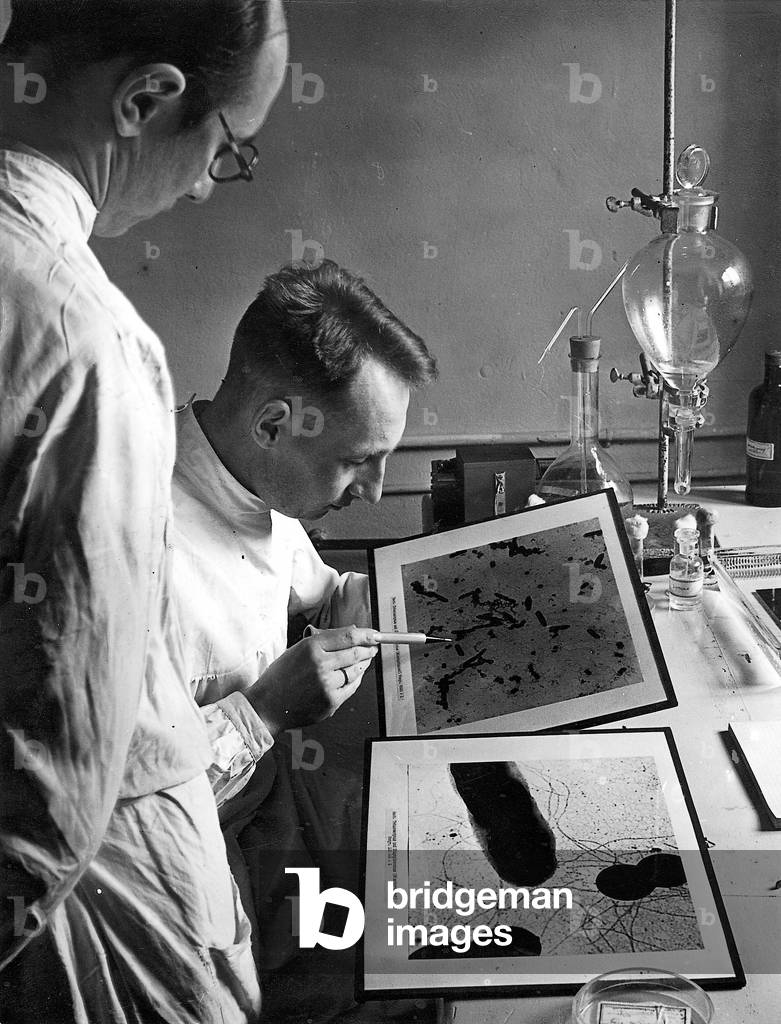 Evaluation of the photomicrograph of the electronic microscope. (b/w photo)