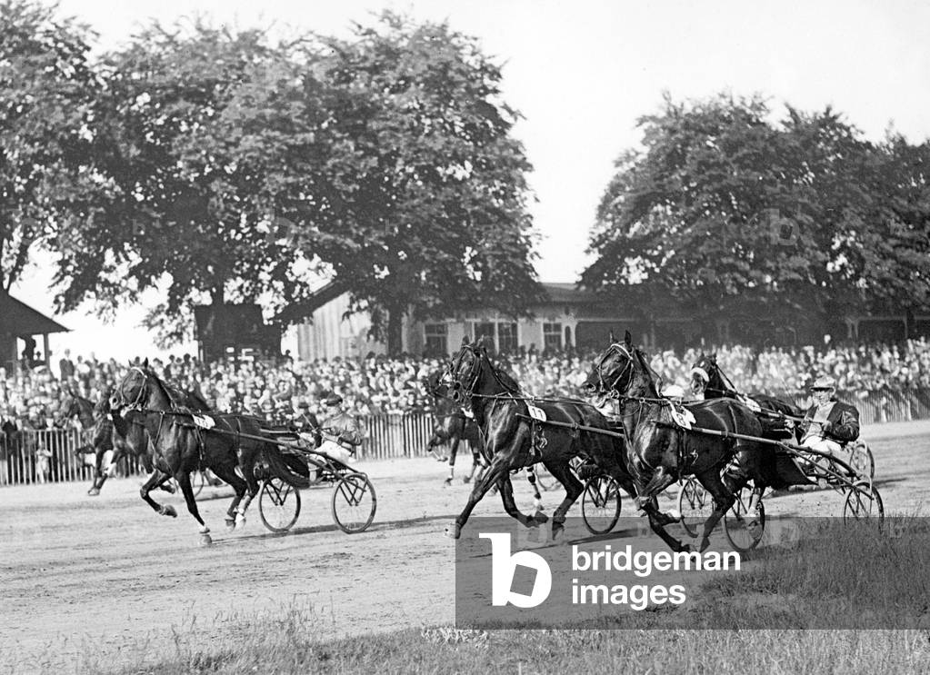 Horse sports: German harness racing derby in Ruhleben, 1933 (b/w photo)