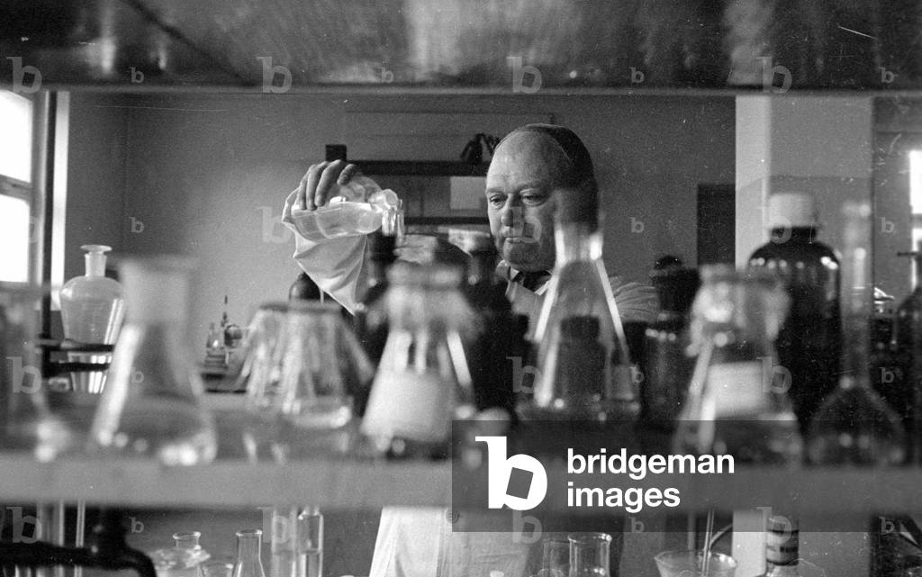 Medical research, 1960 (b/w photo)