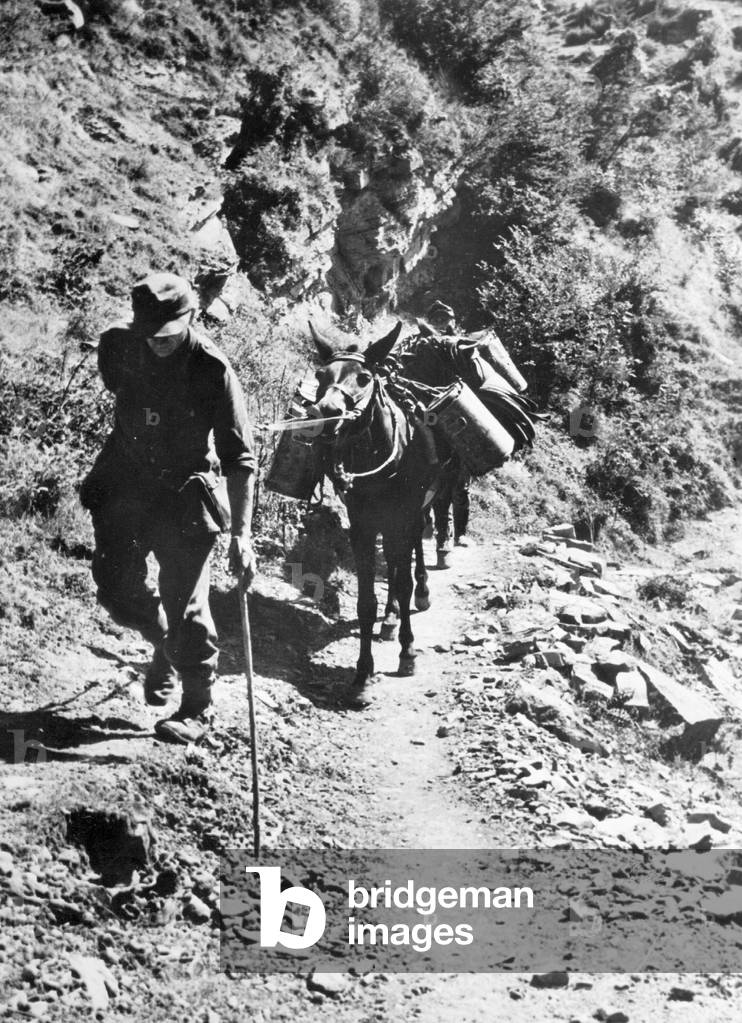 Support column provide German troops with supplies, 1944 (b/w photo)