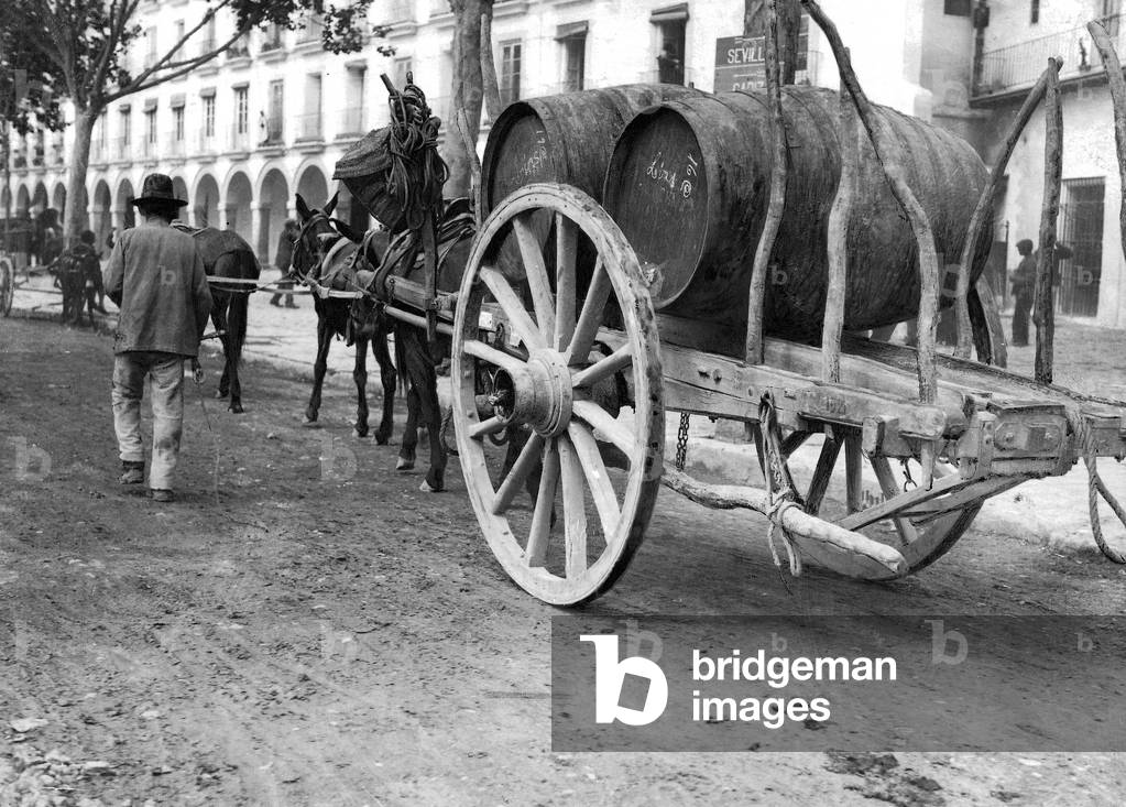 Sherry transport in Andalusia (b/w photo)