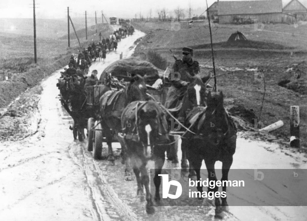 German supply column in Courland, 1944 (b/w photo)
