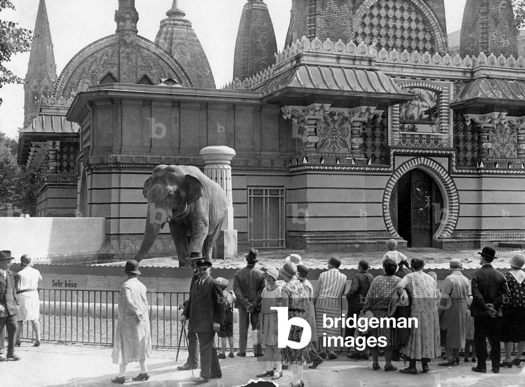 Elephant enclosure in the Berlin Tiergarten, 1930 (b/w photo)