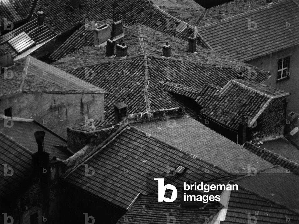 Houses (b/w photo)