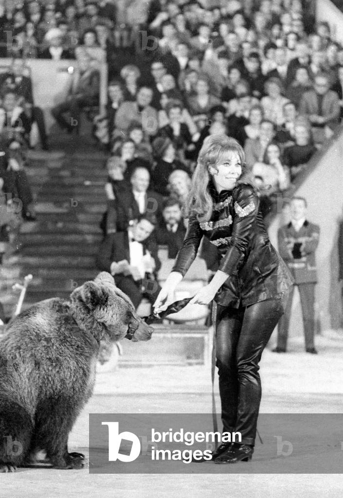 Circus performance with dancing bears, 1969 (b/w photo)