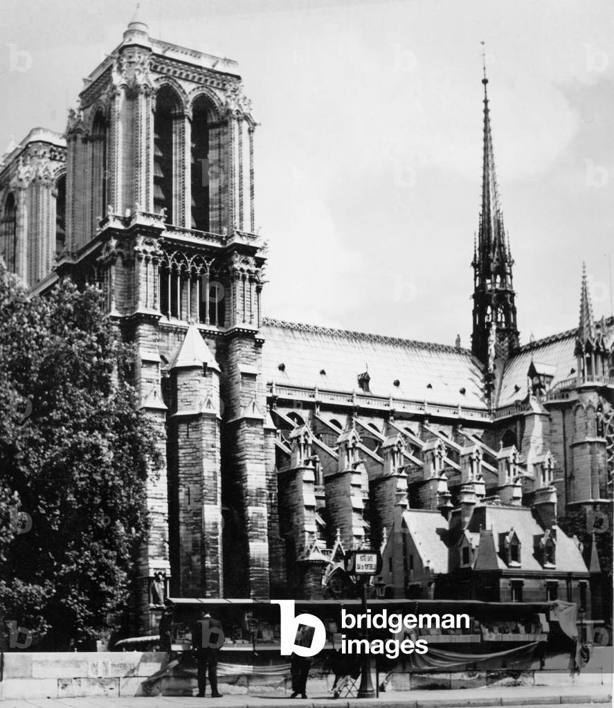 Side view of the Notre Dame Cathedral in Paris, 1960 (b/w photo)