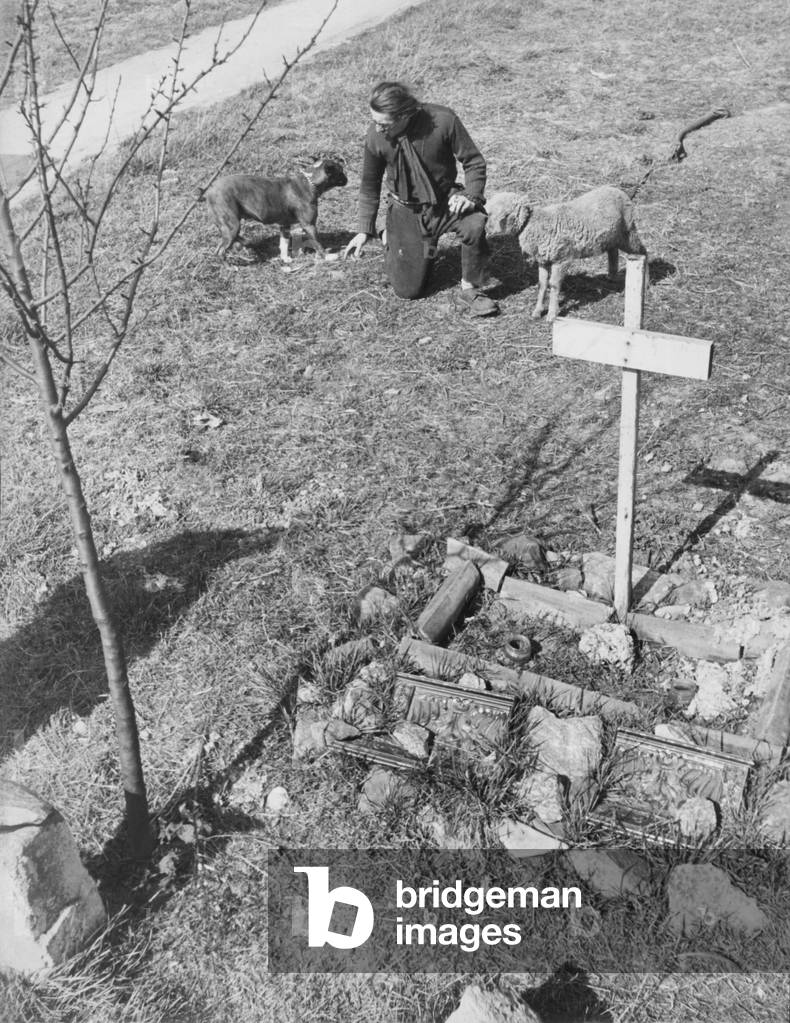 Man with bulldog and sheep, 1960s (b/w photo)