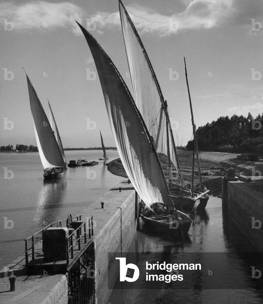 The Nile near Cairo (b/w photo)