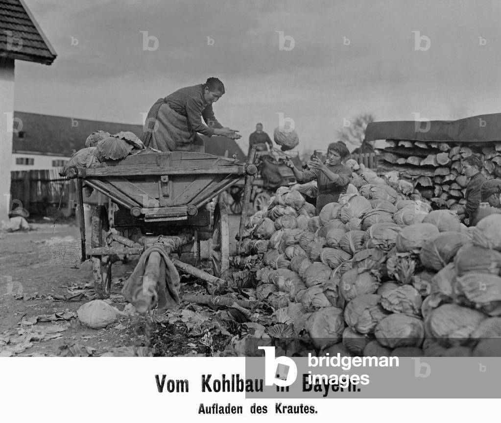 Coal harvest in Bavaria, 1909 (b/w photo)