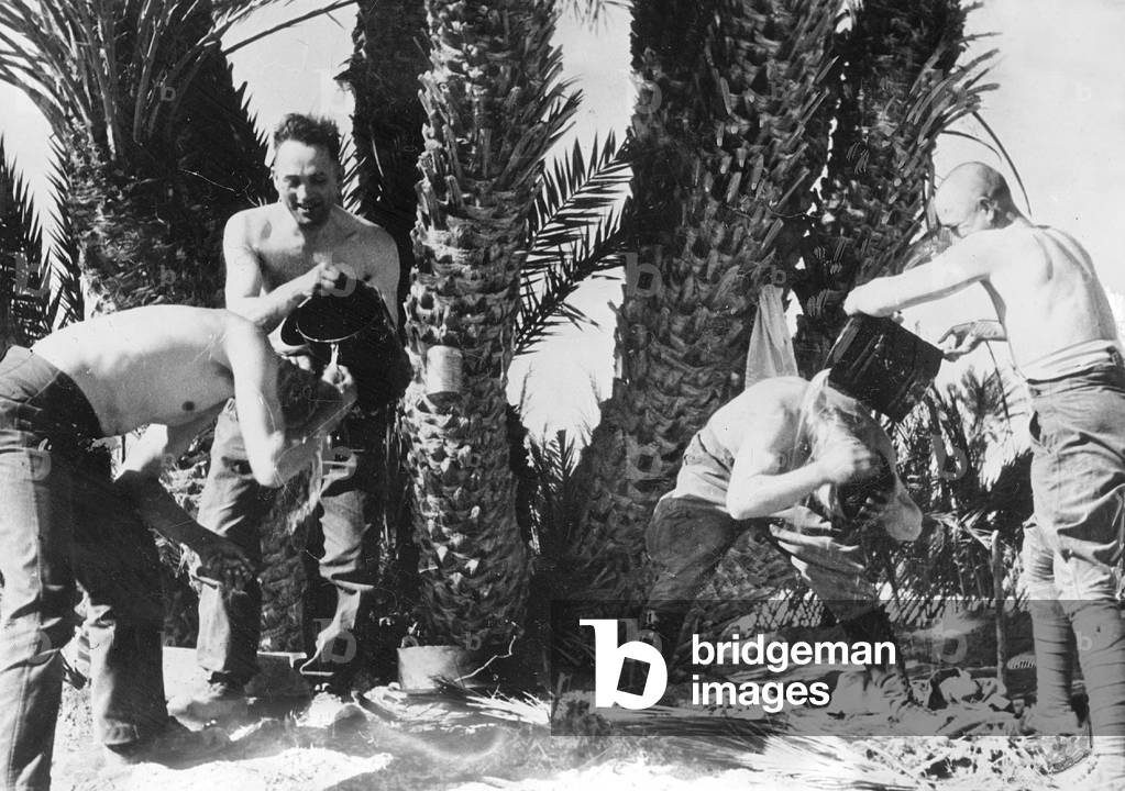 German soldiers wash themselves in Africa, 1942 (b/w photo)