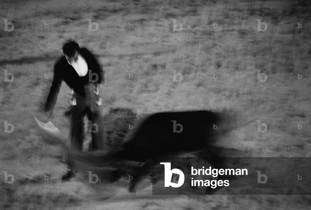 Bullfight (b/w photo)