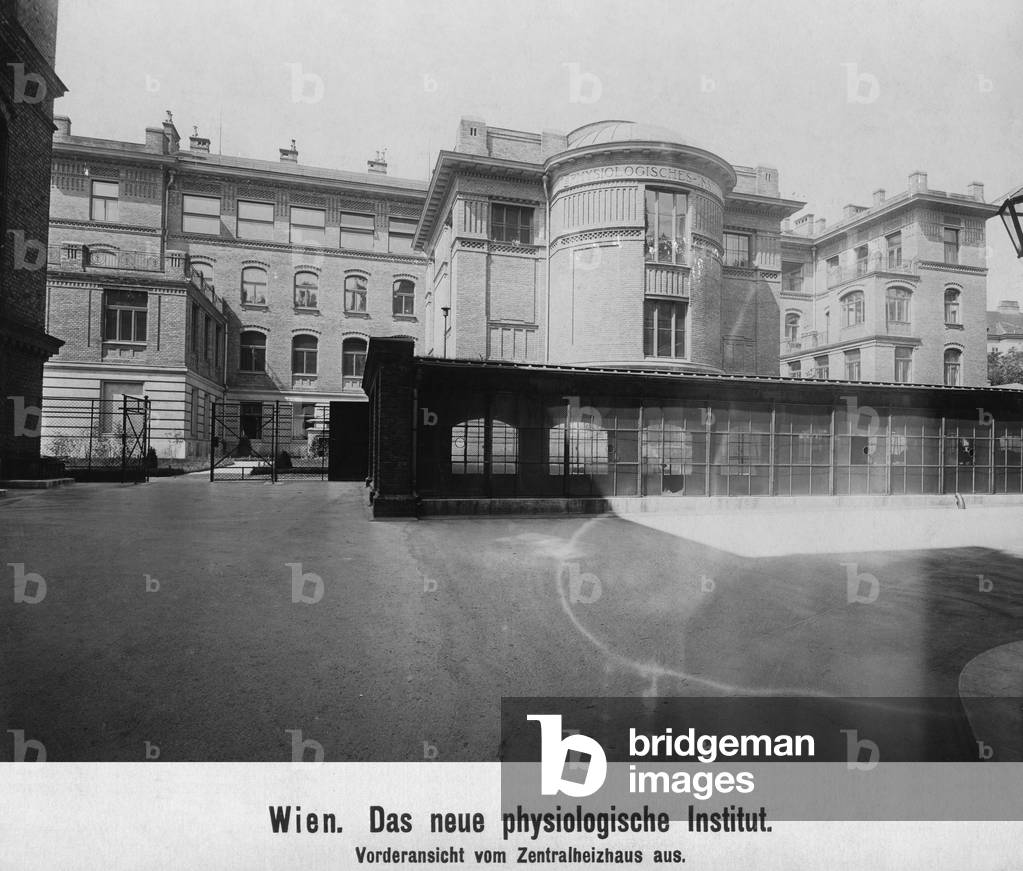 Institute of Physiology in Vienna 1905 (b/w photo)