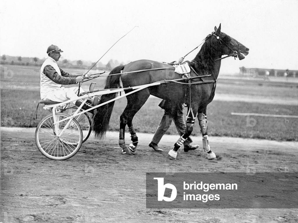 Equestrian sport: trotting race in Ruhleben, 1912. (b/w photo)