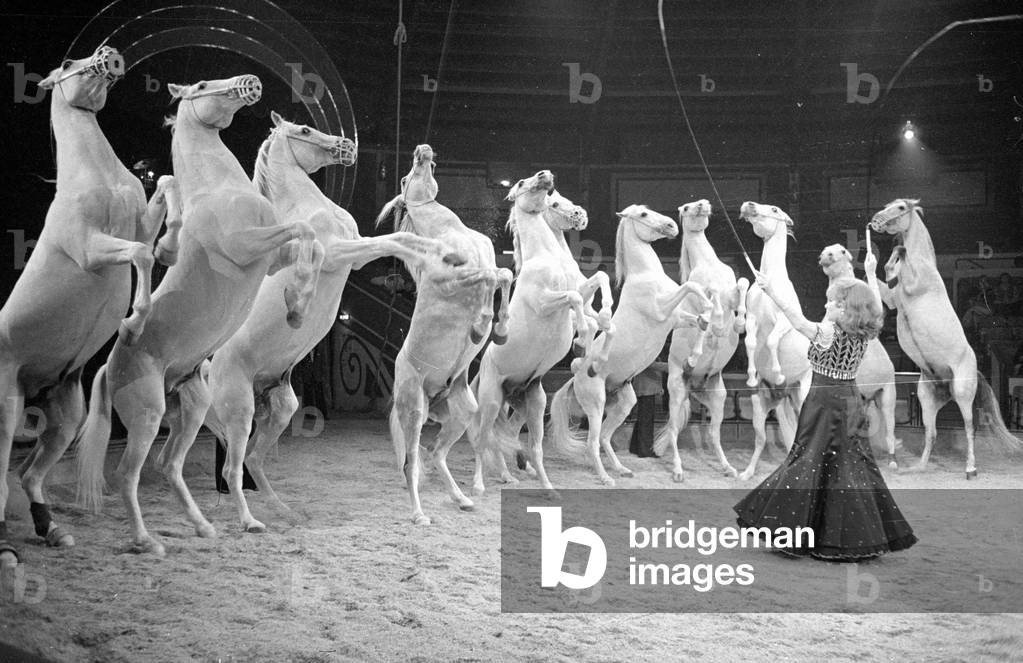 Program at the Circus Krone in Munich, 1978 (b/w photo)