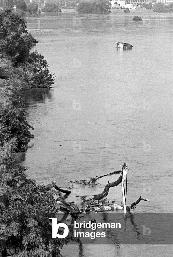 Elbe flood, Germany, 2002 (photo)