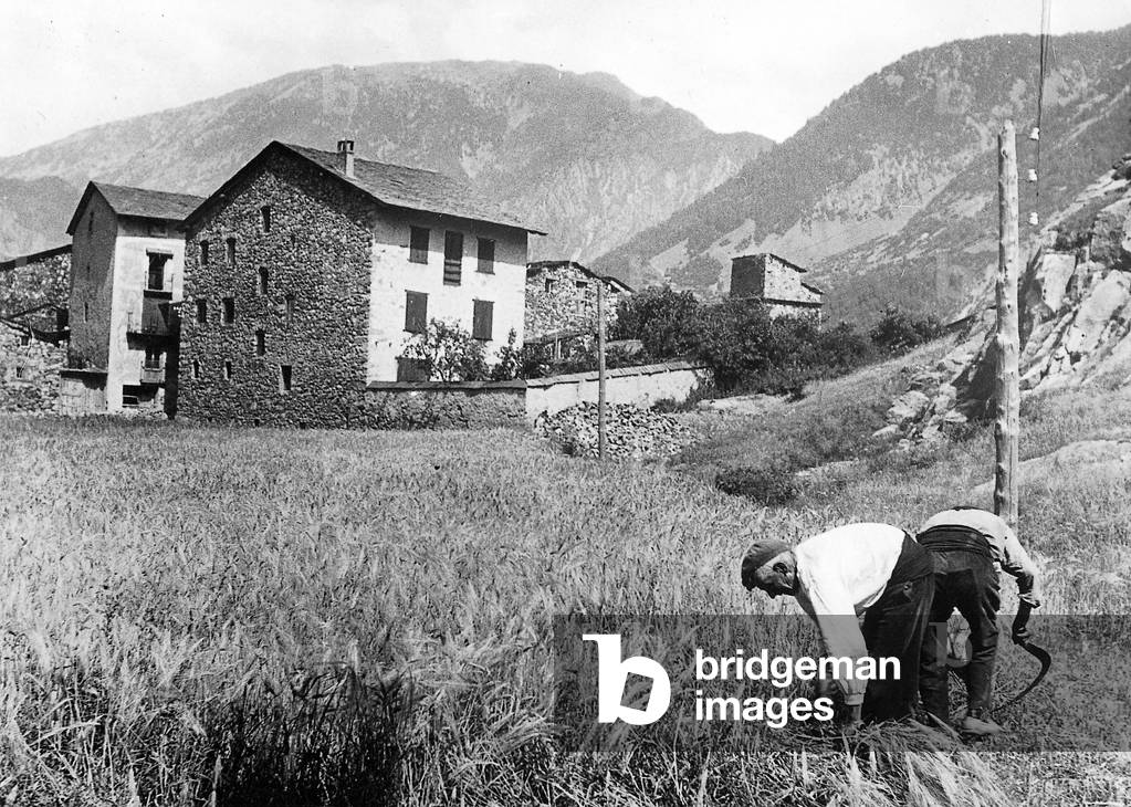 Farmers in Andorra at harvest time (b/w photo)