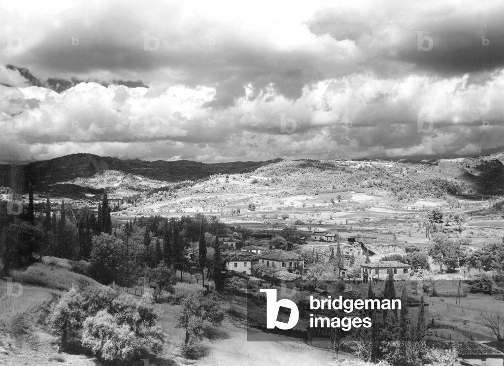 Olympia, 1936 (b/w photo)