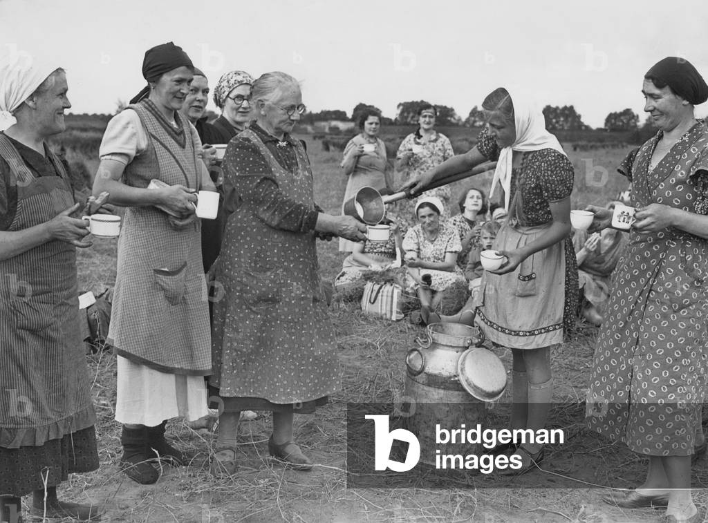 NS women's organization during the flax harvest (b/w photo)
