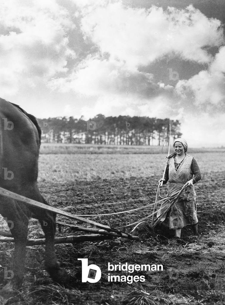 Peasant woman plowing (b/w photo)