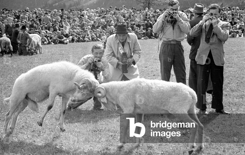 The Gauder Fest in Zell am Ziller, 1952 (b/w photo)