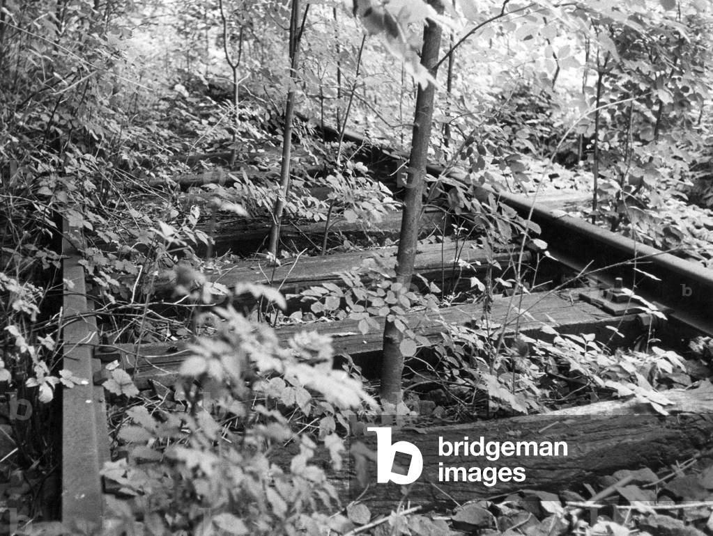 Abandoned railroad tracks (b/w photo)
