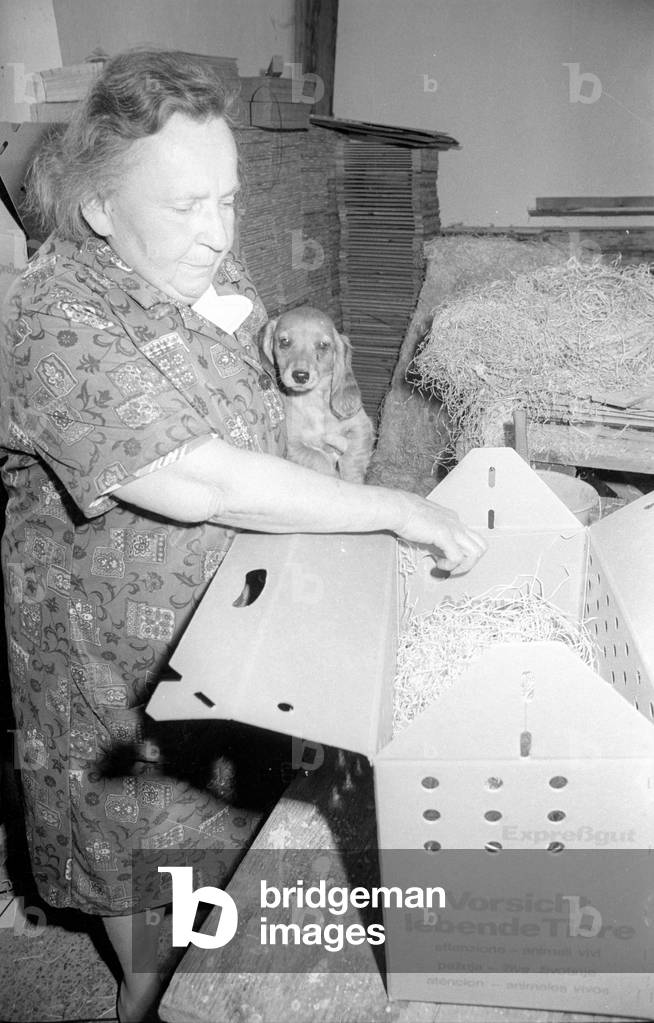 Kathi Hofmeister in Gergweis, 1974 (b/w photo)