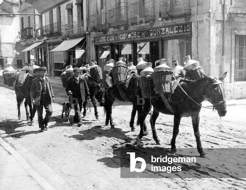 Donkey transport in Salamanca (b/w photo)