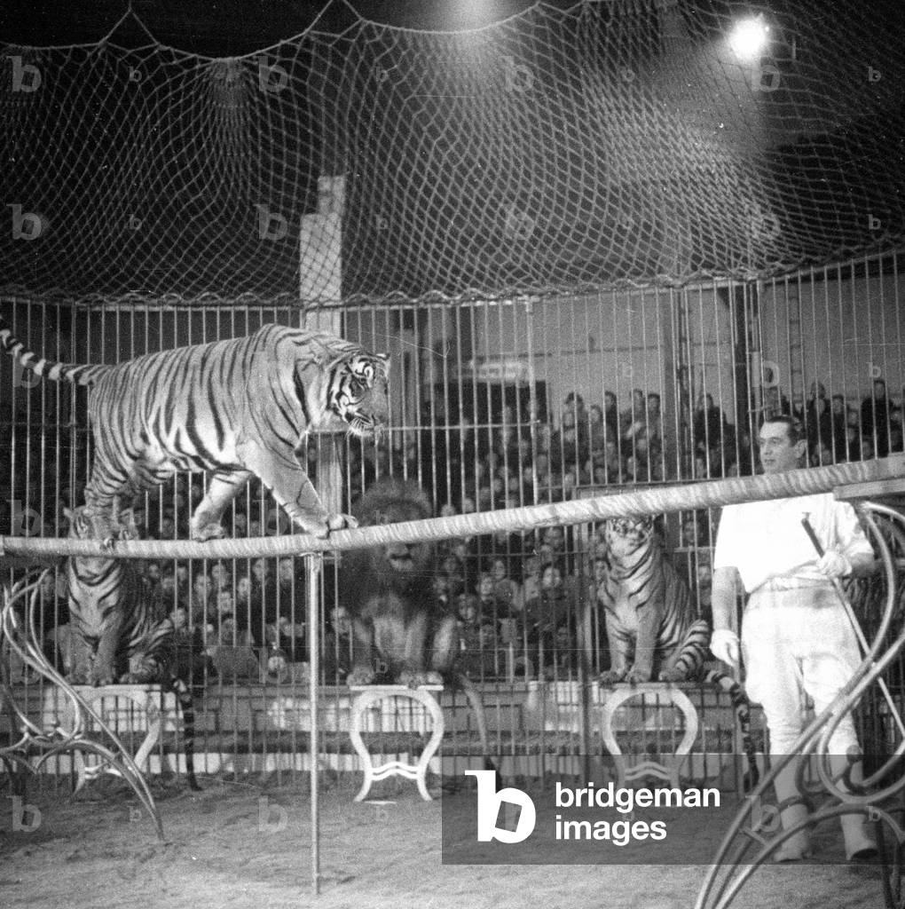 Circus program with predators, 1954 (b/w photo)