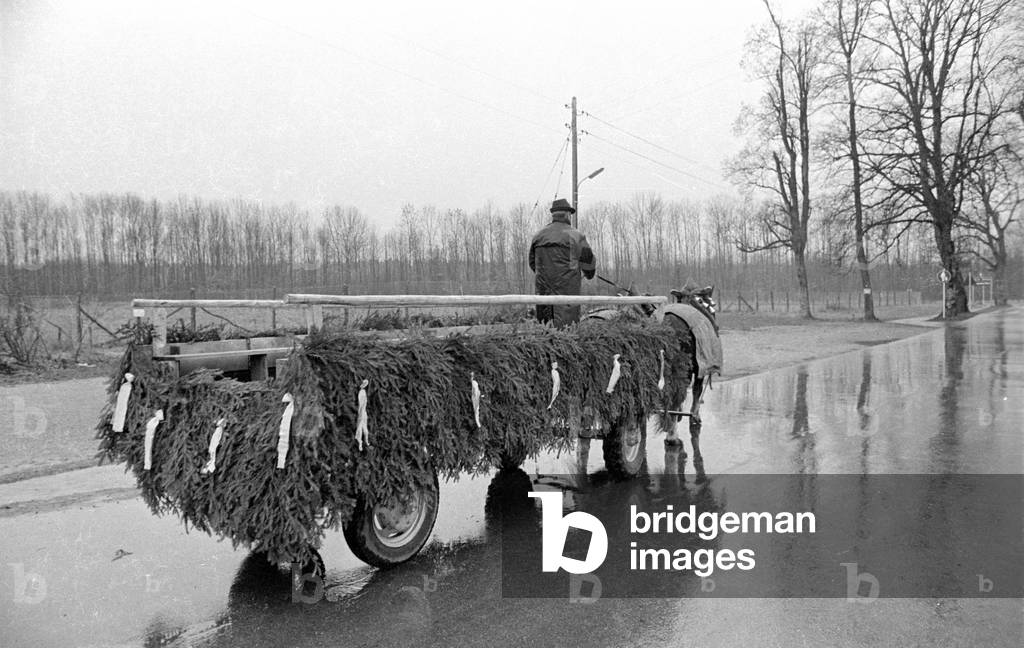 Car Free Sunday, 1973 (b/w photo)