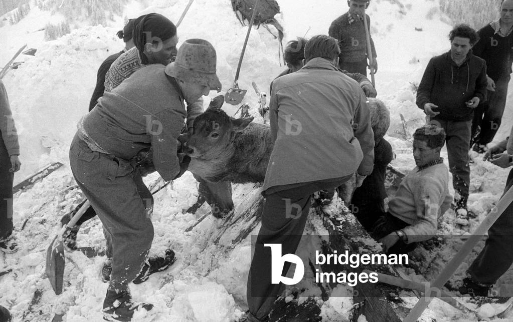After an avalanche rescuers dig their way through the snow to a building, 1958 (b/w photo)
