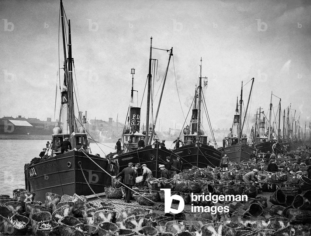 Fishing fleet in the harbor, 1928 (b/w photo)