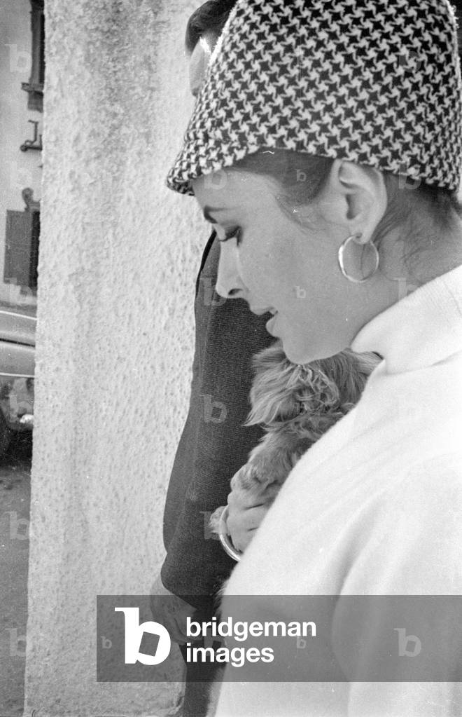 Elizabeth Taylor, 1965 (b/w photo)
