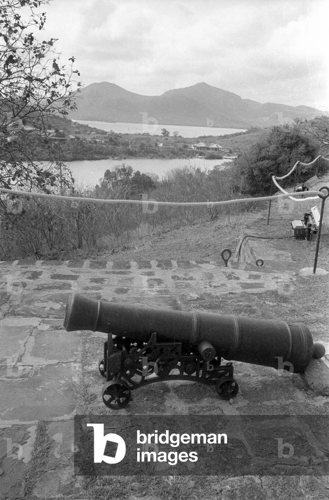 Old cannon in Antigua, 1966 (b/w photo)