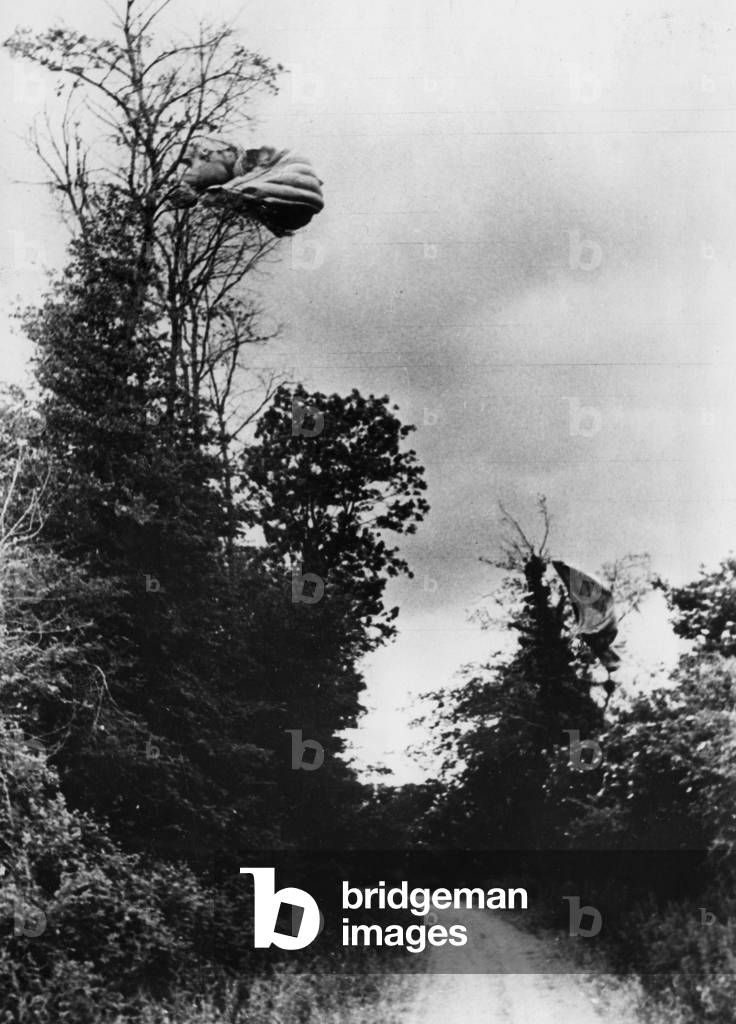 Parachutes of British airborne troops on trees, 1944 (b/w photo)