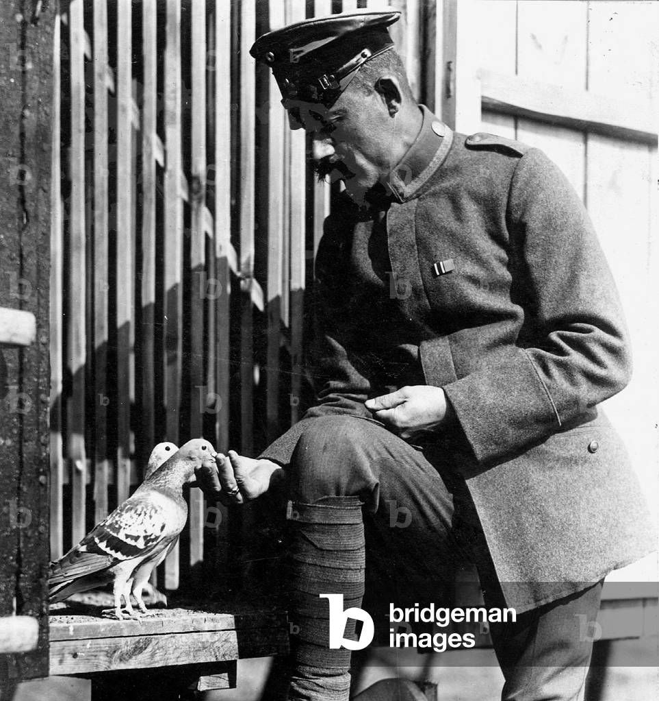 German soldier feeds pigeons, 1918 (b/w photo)